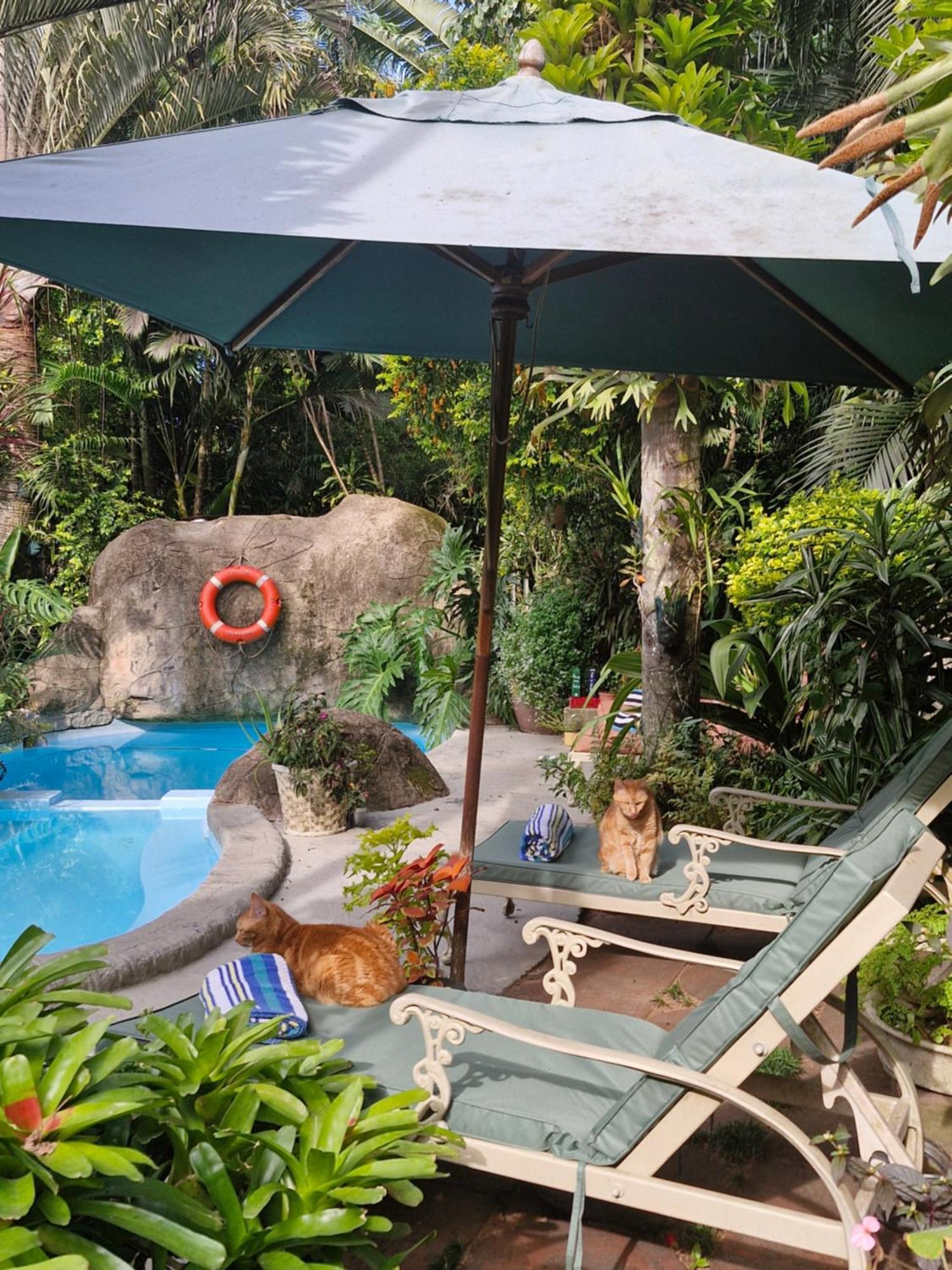 African Ambience Guest House Saint Lucia Estuary Exteriör bild