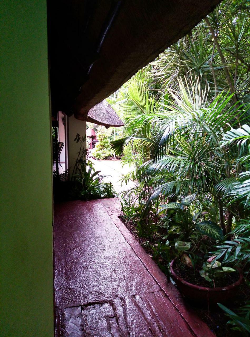 African Ambience Guest House Saint Lucia Estuary Exteriör bild